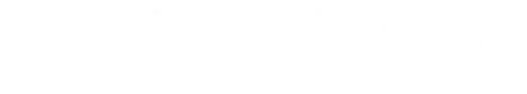 RayNET
